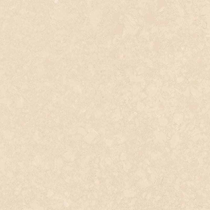 Color Image