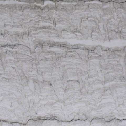 Color Image