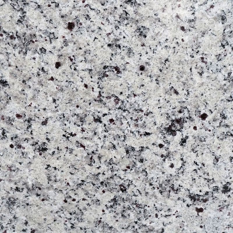 MSI - White Napoli Granite