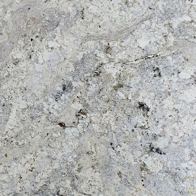 MSI - White Paradise Granite