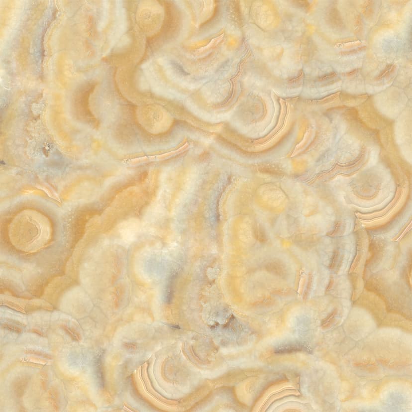 Color Image